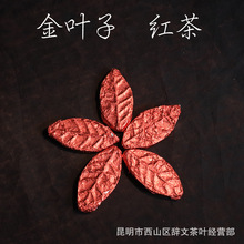 云南红茶金叶子批发勐海茶区古树滇红茶新款金叶子500g