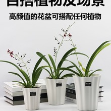 花盆家用客厅简约塑料加厚绿植盆栽发财树天堂鸟大小口径兰花套盆