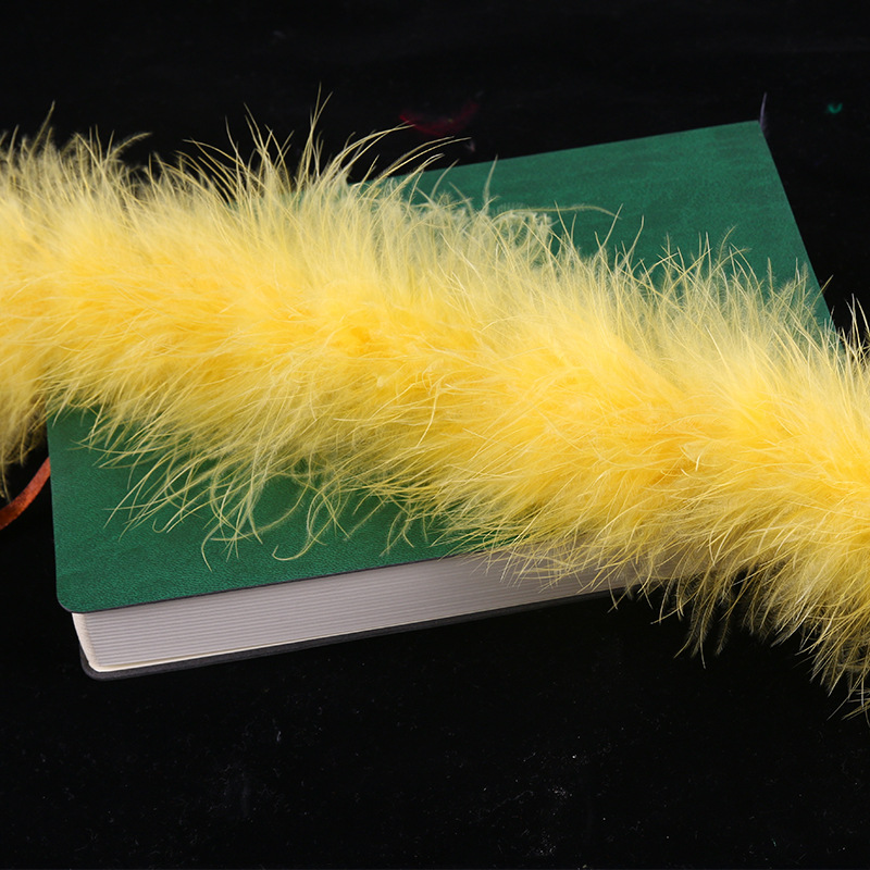 골든 2m 털이 조금 빠질 수 있으니 촬영시 주의하시기 바랍니다.