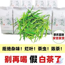 2022新茶安吉高山云雾白茶明前特级绿茶一芽一叶春茶礼盒厂家直销