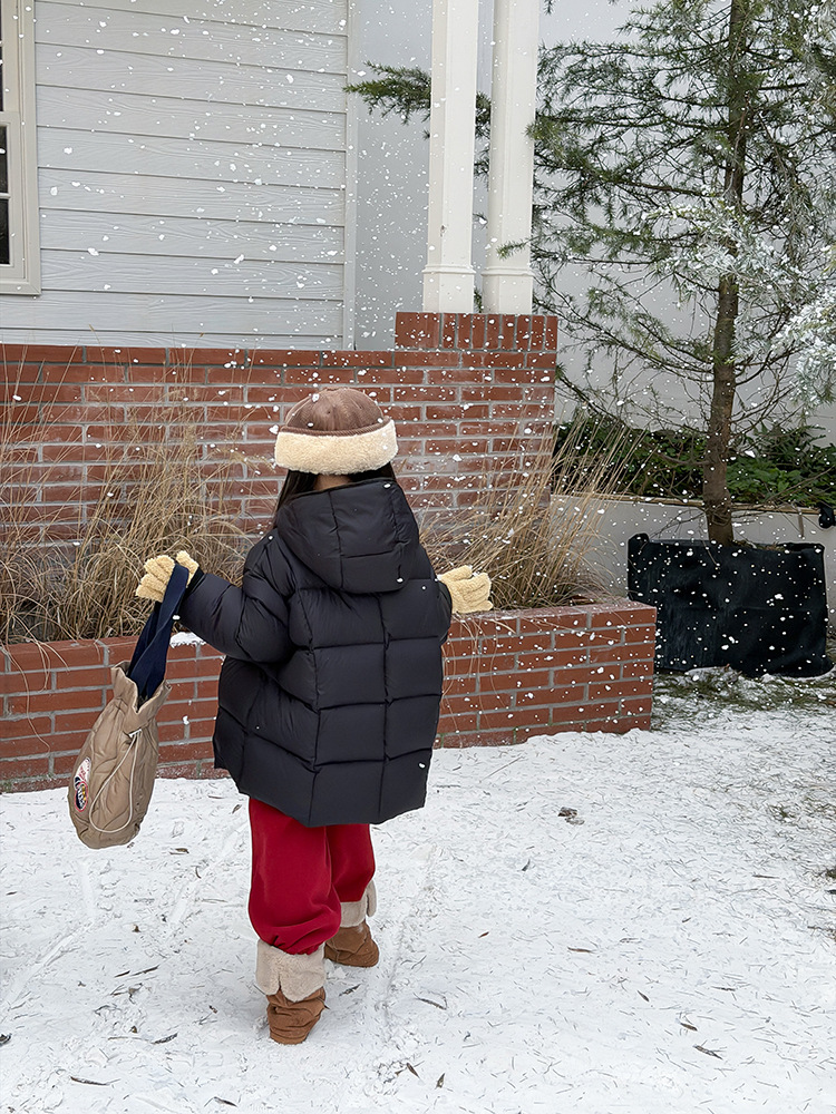 2025-11-23 121620.jpg