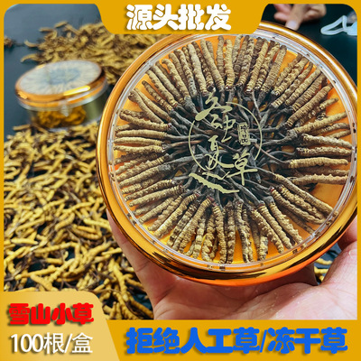 2022 Cordyceps New products list 1001 Tibet Nagqu Cordyceps packing whole country One piece On behalf of