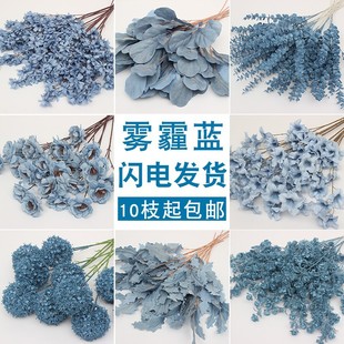 10֦�b�F���{ϵ���滨��Y��ˇ���Ļ�c�ٻ�����·���廨���Ż�