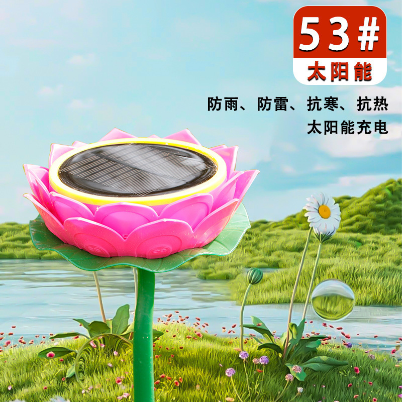 53 핑크 트럼펫 솔라