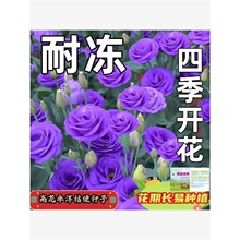 ̓۹NӴذ_ȫɷN̨ͺ͟