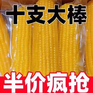 2026��|���SŴ������Ŵ���������հ��bŴ���װ��S�����������