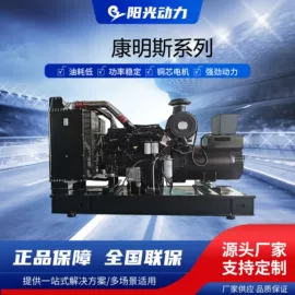 柴油发电机组;其他发电机