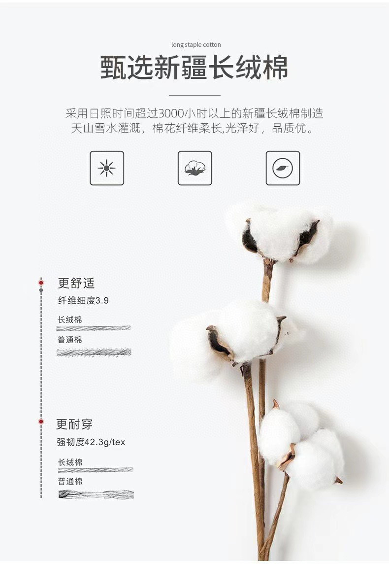 IMG_3903(20220611-002533)