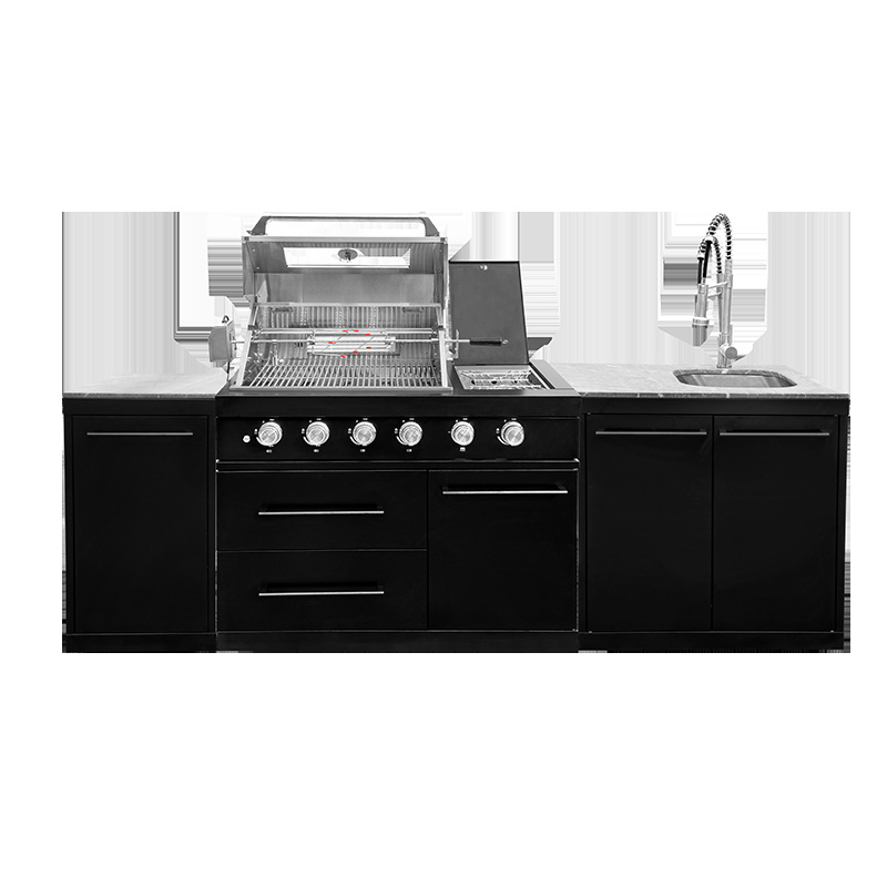 Gabinete al aire libre carbón de gas horno de parrilla de doble propósito acero inoxidable 304 horno al aire libre exportación transfronteriza horno de espesamiento