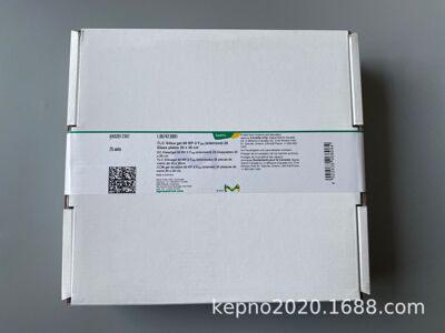 Merck C2 Silica gel plate Dimethyl Silylation silica gel Thin layer plate Excluding fluorescence