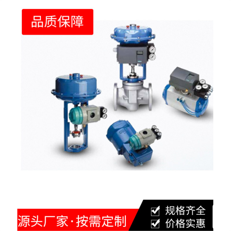 TS800韩国铁森TS800RA25S00阀门定位器TS800R角行程TS800RA25S10