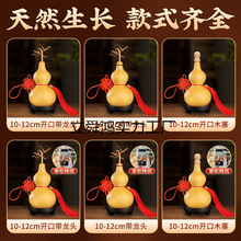 ��Ȼ���J����[���լ�͏d��ؔ�����^����X�T���T�����Pľ�[��