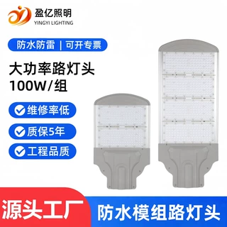 Led模组路灯100W200W市政工程公园小区亮化高杆灯大功率道路灯头