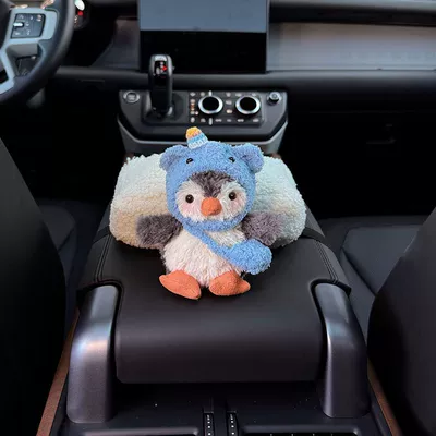 Tissue Box, Car Interior Storage | Car tissue box/set