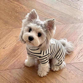 条纹四脚衣宠物衣服秋冬打底比熊雪纳瑞泰迪条纹狗狗小型犬猫咪