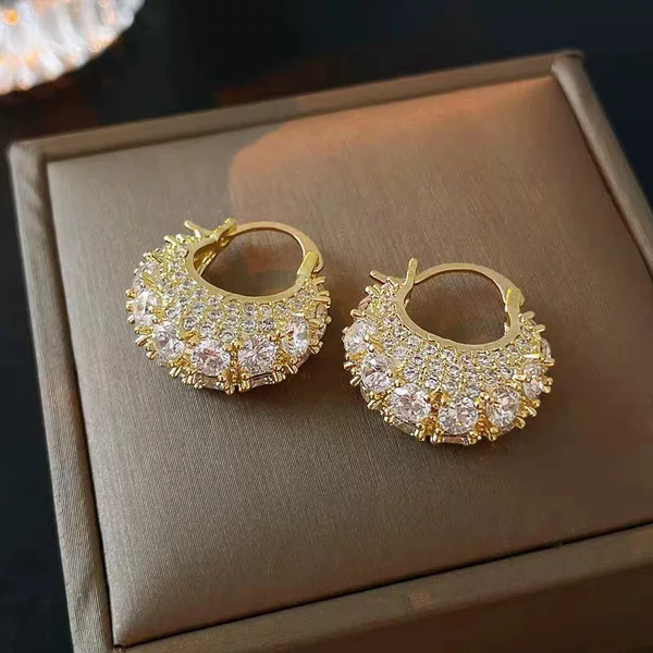 Flash diamond earrings 2023 new popular niche design high-grade earrings light luxury temperament autumn and winter earrings drop for women