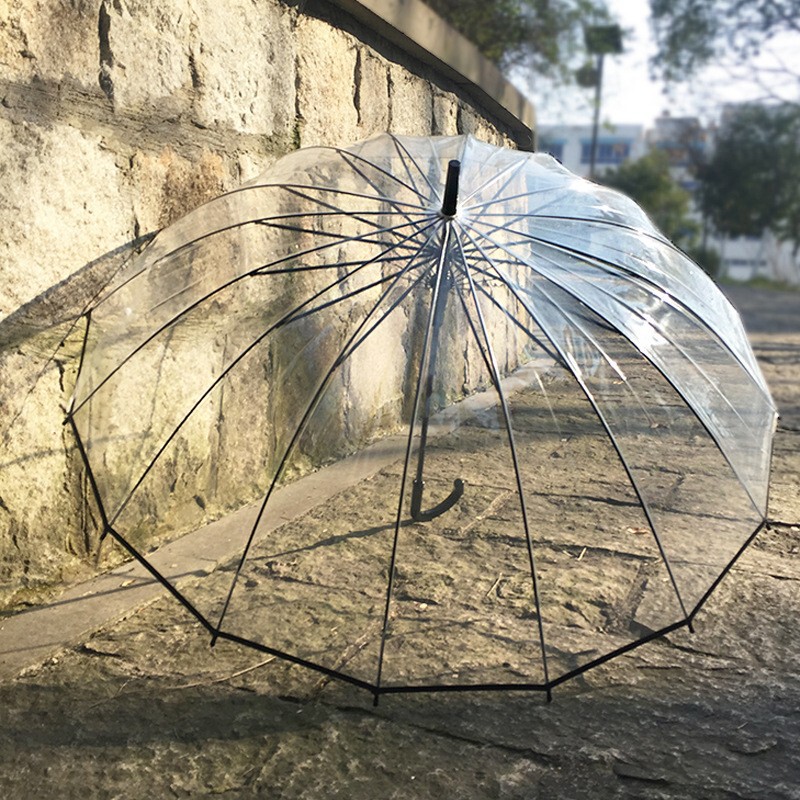 Creative simple small fresh long handle umbrella transparent umbrella straight transparent umbrella automatic wholesale logo gift advertising umbrella Creative simple small fresh long handle umbrella transparent umbrella straight transparent umbrella automatic wholesale logo gift advertising umbrella