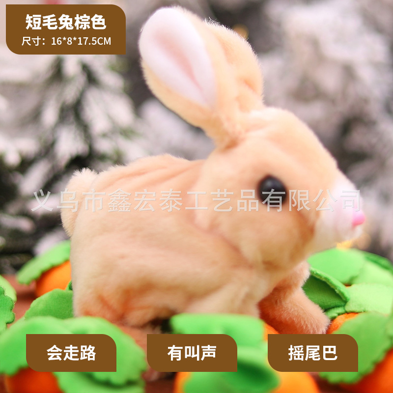 Conejo de pelo corto Brown