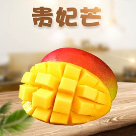 粽子;瓜果类;西式糕点