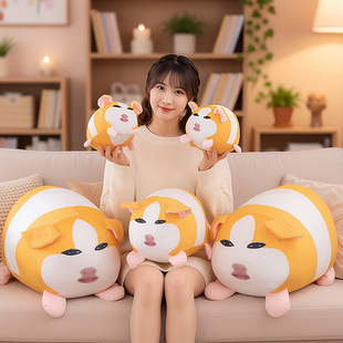 �ɐۿ�ͨ�i�α���ë�q������ż���ϴ�̖�Y���i�