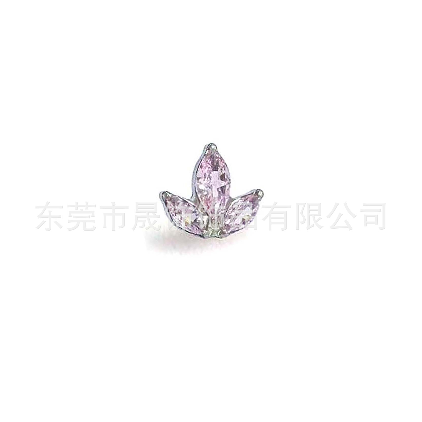 F136 Titanium 马眼 Cubic Zirconia Ear Stud G23 Implant Grade Titanium Internal Thread Labret Stud Piercing Jewelry Helix Cartilage Stud 自然风