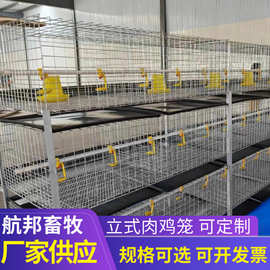立式肉鸡笼厂家中小农场散养农用畜牧含托粪盘冷镀锌框架肉鸡定制