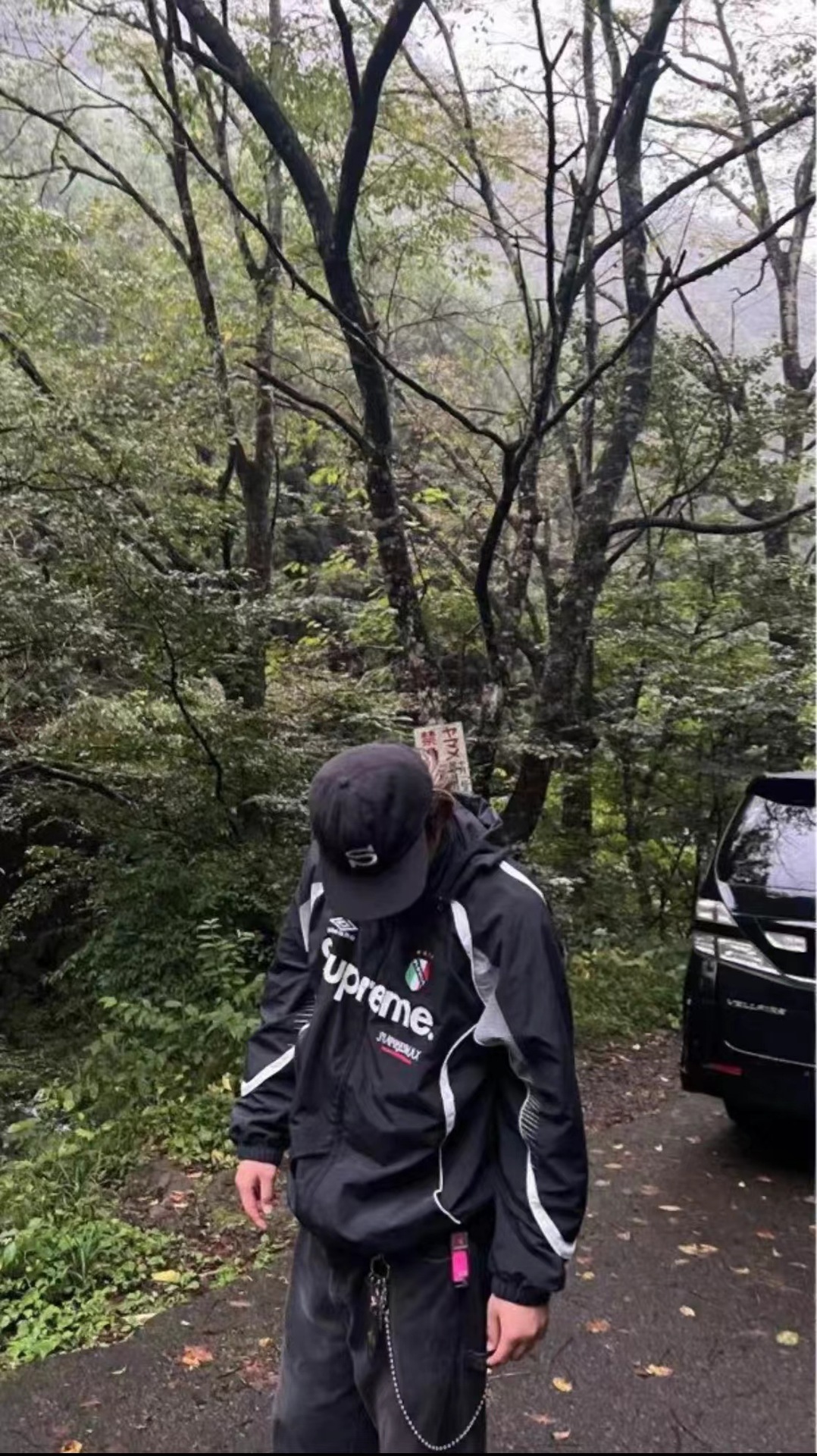 5.jpg?x-oss-process=image/format,png