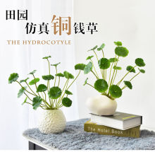 С���~�~�X�ݷ��滨���b�ٻ��͏d��ˇ�[��������ˇ�Ҿ��b�Ʒ�[�O