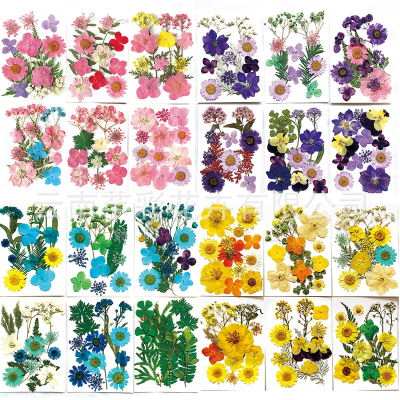 跨境新款干花压花材料包 diy贴脸滴胶相框 爆款黑色天然植物标本