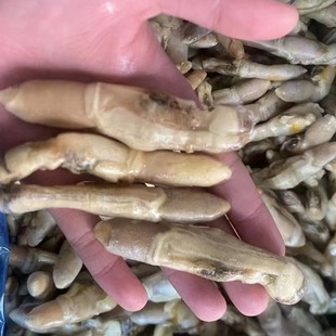 ���rȥ���ك��|������r������|����F�����|����ؐ��r����