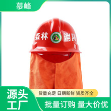 ���wʽɭ�ַ��������ɫ��ȼ�����ļ����o�����]����������l