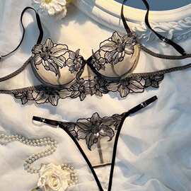 2025欧美跨境新款性感蕾丝网布透视绣花聚拢透气舒适纯欲文胸套装