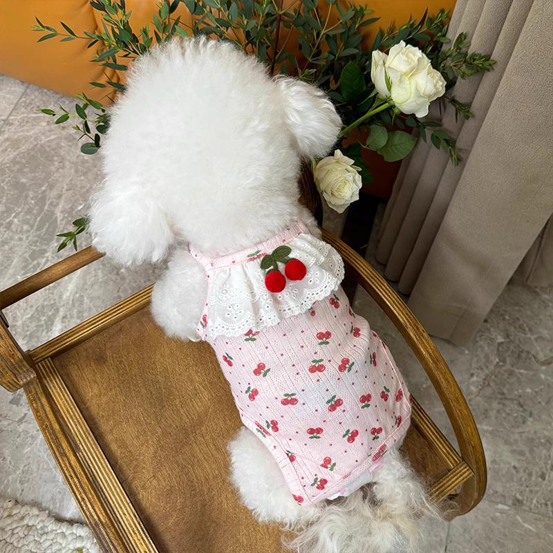 Ropa de mascotas primavera y verano nueva bolsa abdominal abdominal perros gatos lindos perros pequeños que osos Teddy ropa para el hogar