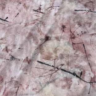 �찱�W��ӡ�� 40D�찱����ӡ���W������ Ů�b���������B��ȹ����