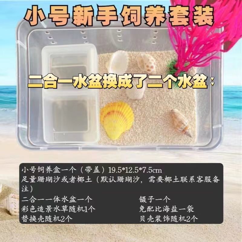 寄居蟹专用饲养爬宠饲养盒昆虫观察盒新手套装饲养缸寄居蟹套餐|undefined