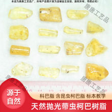 天然抛光带虫柯巴树脂 科巴脂 含昆虫柯巴脂标本 虫体清晰仿琥珀