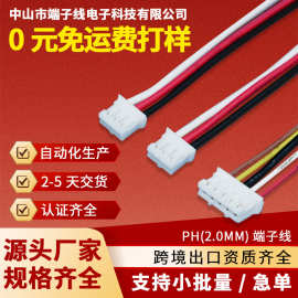 PH2.0MM端子线电子线公头母头连接线电机马达玩具接插线线束加工