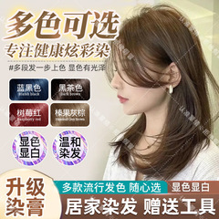 Mengqian 染毛剤クリーム、自宅で髪を染める、理髪店の特別なクリーム、非泡染毛剤、無料ツール