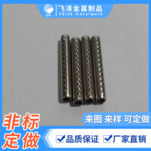 ƽ�^���׈A���N ��λ�N ���P䓉���܇�S �X݆�����S ���P䓲��N�S