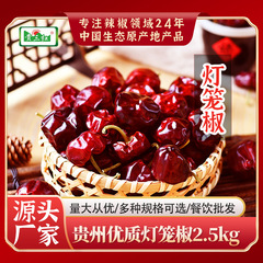 Lantern Pepper 5 Pounds Guizhou Origin Dried Chilies, Mildly Spicy and Fragrant, Hot Pot and Dry Pot Seasoning, Aromatic Dried Chilies for Commercial Use
