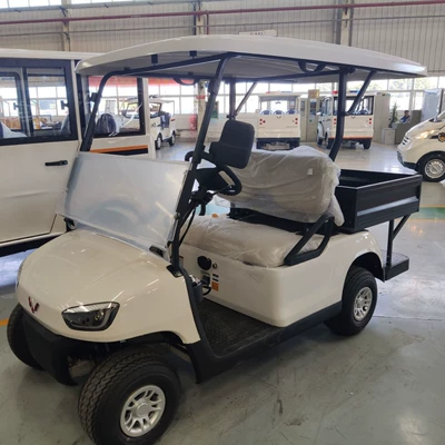 Storing and Maintaining Golf – Elektrikli qolf avtomobilləri