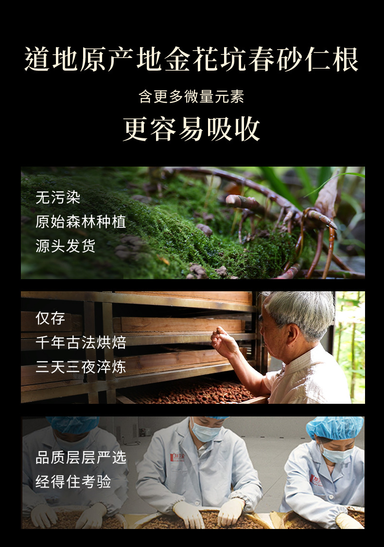 Amomum Villosum Root Sha Ren Gen 砂仁根 Fresh Yangchun Guangdong Herb for Soup and Tea 100g quality and texture