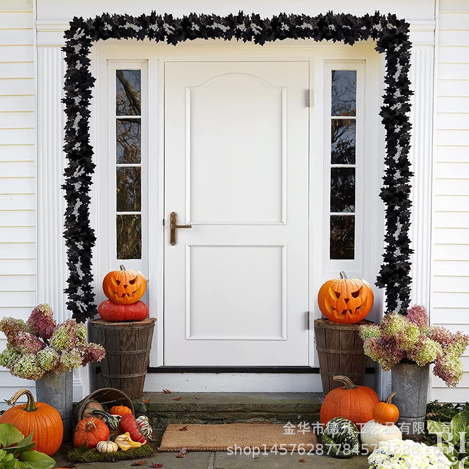 万圣节黑叶藤 (5).jpg