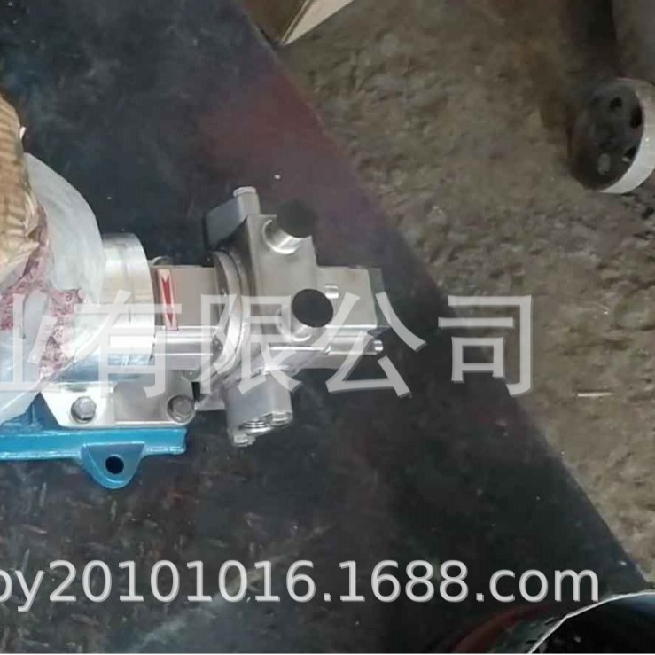 自润滑保温齿轮泵TDWBW 蜂蜜 糖浆 酱料 食用油 胶水 沥青齿轮泵