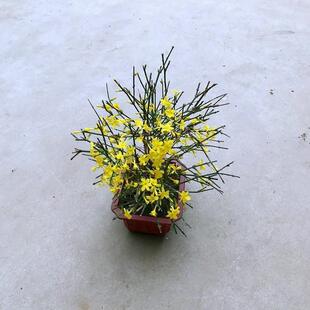 ӭ�������������Ϙ�����҃�ͥԺ�����̨�ļ����B���ֲ���辰