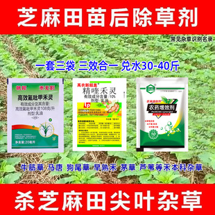 ֥�������݄�֥����݄������~�̱����JȔ�R�ƹ�β��ţ��޲�