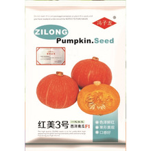 �t��3̖�j���Ϲ�F1 �V���M�h�����N�I���޹�˾ֱ��������ش�����