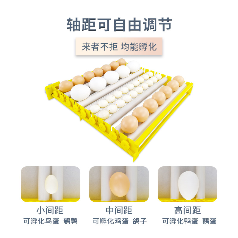 56 piezas doble rodillo de potencia mini incubadora de temperatura constante rutina incubadora de pollo pequeña incubadora transfronteriza comercio exterior