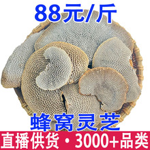 ��C�`֥ ë��C�� �a��؛Դ