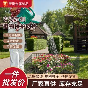 �羳���@ֲ����o�W�Է������̤��ҧ���o�WƬ��������ֲ����W